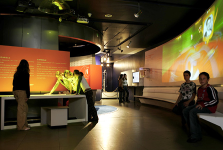 CE_2005_u19exhib_001_g