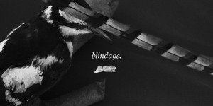 Blindage_1000x500