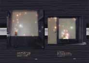 Remain in Light / Haruki Nishijima