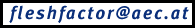 mailto:fleshfactor@aec.at