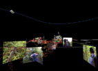 Field Work / M. Fujihata
